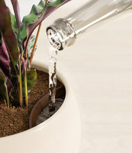 Load image into Gallery viewer, Shiny EggWhite stand:all