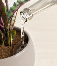 Load image into Gallery viewer, Eternal Gray stand:all