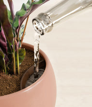 Load image into Gallery viewer, Calm Rose stand:all