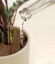 Load image into Gallery viewer, Sage Green stand:all