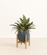 Load image into Gallery viewer, Iron Gray stand:bamboo