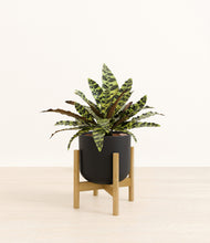 Load image into Gallery viewer, Stone Black stand:bamboo