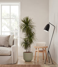 Load image into Gallery viewer, Sage Green