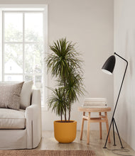 Load image into Gallery viewer, Sunset Orange