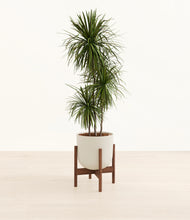 Load image into Gallery viewer, Natural Bamboo stand:walnut