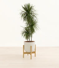 Load image into Gallery viewer, Natural Bamboo stand:bamboo