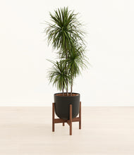 Load image into Gallery viewer, Stone Black stand:walnut