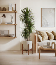 Load image into Gallery viewer, Natural Bamboo stand:walnut