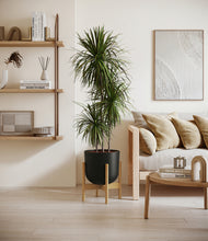 Load image into Gallery viewer, Stone Black stand:bamboo