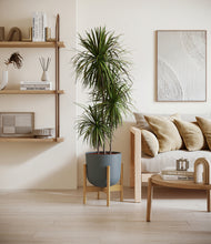 Load image into Gallery viewer, Iron Gray stand:bamboo