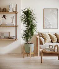 Load image into Gallery viewer, Sage Green stand:bamboo