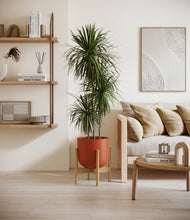 Load image into Gallery viewer, Earth Red stand:bamboo