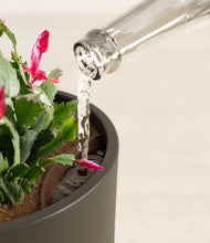 Load image into Gallery viewer, Dark Olive stand:all