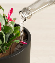 Load image into Gallery viewer, Black stand:all