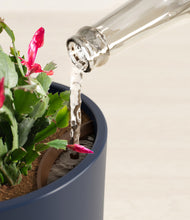 Load image into Gallery viewer, Deep Navy stand:all