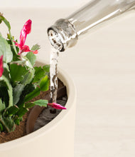 Load image into Gallery viewer, Cream stand:all