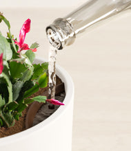 Load image into Gallery viewer, White stand:all