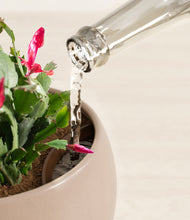 Load image into Gallery viewer, Desert Brown stand:all