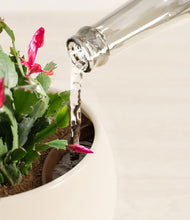 Load image into Gallery viewer, Shiny EggWhite stand:all