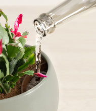 Load image into Gallery viewer, Deep Ocean stand:all