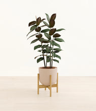 Load image into Gallery viewer, Sandy Pink stand:bamboo