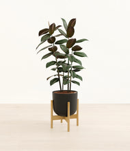 Load image into Gallery viewer, Stone Black stand:bamboo