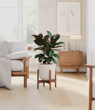 Load image into Gallery viewer, Natural Bamboo stand:walnut