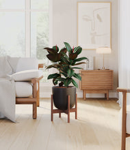 Load image into Gallery viewer, Stone Black stand:walnut