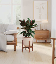 Load image into Gallery viewer, Sandy Pink stand:walnut