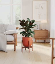 Load image into Gallery viewer, Earth Red stand:walnut