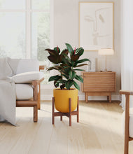 Load image into Gallery viewer, Sunset Orange stand:walnut