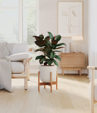 Load image into Gallery viewer, Natural Bamboo stand:bamboo