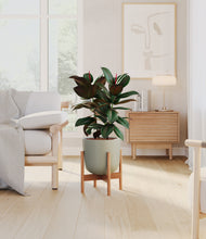 Load image into Gallery viewer, Sage Green stand:bamboo