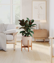 Load image into Gallery viewer, Sandy Pink stand:bamboo