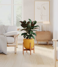 Load image into Gallery viewer, Sunset Orange stand:bamboo