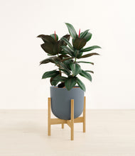 Load image into Gallery viewer, Iron Gray stand:bamboo