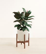 Load image into Gallery viewer, Natural Bamboo stand:walnut