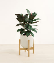 Load image into Gallery viewer, Natural Bamboo stand:bamboo