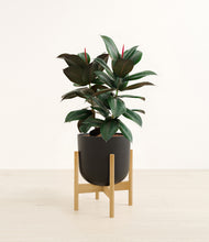 Load image into Gallery viewer, Stone Black stand:bamboo