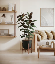 Load image into Gallery viewer, Stone Black stand:walnut