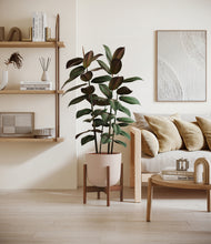 Load image into Gallery viewer, Sandy Pink stand:walnut