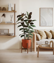 Load image into Gallery viewer, Earth Red stand:walnut