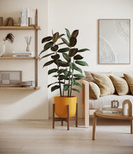 Load image into Gallery viewer, Sunset Orange stand:walnut