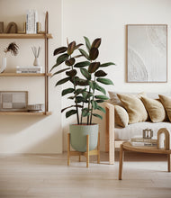 Load image into Gallery viewer, Sage Green stand:bamboo
