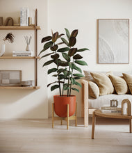 Load image into Gallery viewer, Earth Red stand:bamboo