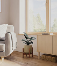 Load image into Gallery viewer, Olive stand:walnut