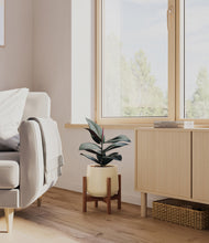 Load image into Gallery viewer, Almond Green stand:walnut