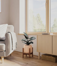 Load image into Gallery viewer, Gentle Pink stand:walnut