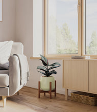 Load image into Gallery viewer, Turquoise stand:walnut