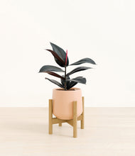 Load image into Gallery viewer, Gentle Pink stand:bamboo
